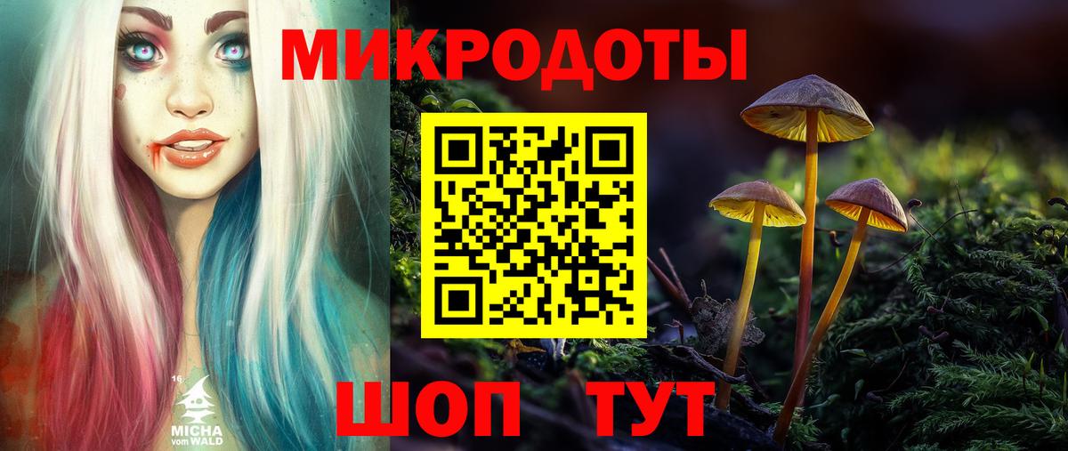 Псилоцибиновые грибы прущие грибы Саратов